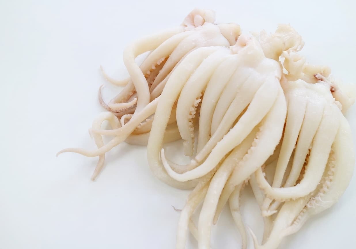 백족 10kg